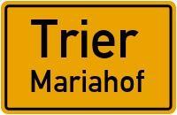 Foto - Etagenwohnung in Trier