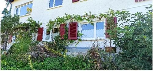 Foto - 11 Zimmer Einfamilienhaus zum Kaufen in Neckarsteinach