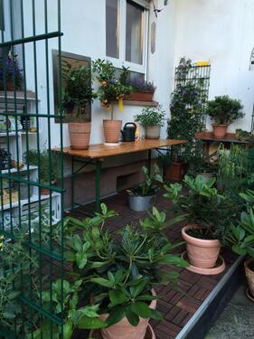 Foto - Reden ist Silber, kaufen ist GOLDEinbauküche Tel : 015207172504