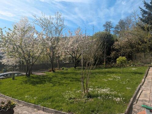 Foto - Grundst&uuml;ck zum Kaufen in Bad Blankenburg