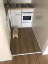 Foto - 1 Zimmer Etagenwohnung zur Miete in Stapelfeld