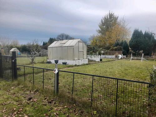 Foto - Schrebergarten Sibeliusstraße komplett mit Gewächshaus