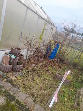 Foto - Grundst&uuml;ck in Lübeck zur Miete