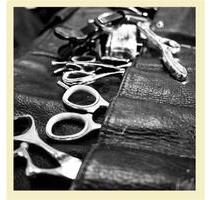 Stuhlmiete in 92318 Neumarkt - 50,00&nbsp;EUR Kaltmiete, in Neumarkt in der Oberpfalz (PLZ: 92318) Altenhof