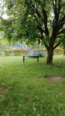 Foto - Appartement ca 30 qm - 250,00&nbsp;EUR Kaltmiete, ca.&nbsp; 30,00&nbsp;m&sup2;