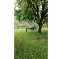 Appartement ca 30 qm - 250,00&nbsp;EUR Kaltmiete, ca.&nbsp; 30,00&nbsp;m&sup2; in Bad Berleburg (PLZ: 57319)
