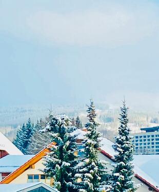 Foto - andere zur Miete in Garrel