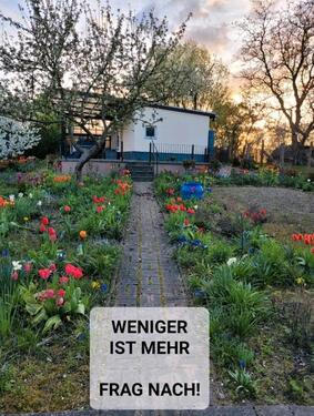Foto - Verkauf Bungalow mit Land in Moltenow