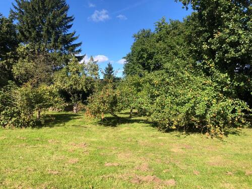 Foto - Einfamilienhaus in Wittenhagen