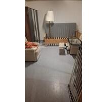 Wohnung zu vermieten im Stadtzentrum mit 45m2 - Frankenthal (Pfalz)