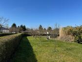 Foto - Großer Garten mit vielen Obstbäumen zur Pacht