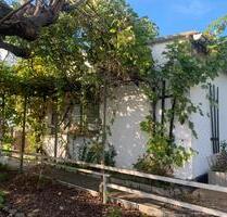 Kleiner Garten - 500,00 EUR Kaltmiete, ca.  0,00 m² in Neubrandenburg (PLZ: 17034) Datzeberg