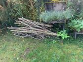 Foto - Grundstück in Neubrandenburg zur Miete