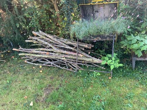 Foto - Grundstück in Neubrandenburg zur Miete