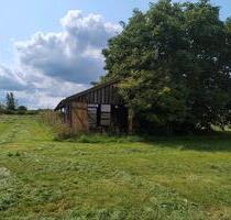 Scheune, Schuppen, Unterstellplatz - Bad Wünnenberg