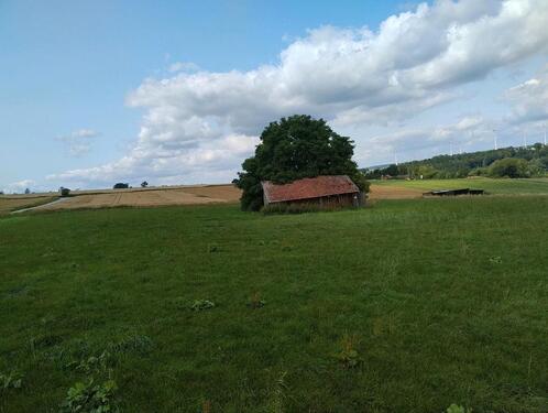 Foto - andere in Bad Wünnenberg