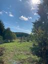 Foto - 6 Zimmer Bauernhaus, Landhaus zum Kaufen in Ellrich