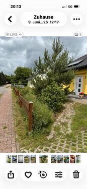 Foto - 3 Zimmer Bungalow in Milower Land