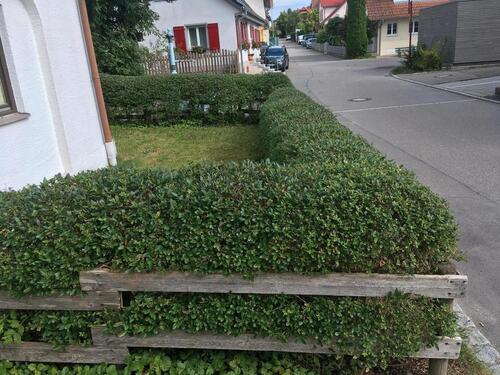 Foto - Etagenwohnung zum Kaufen in Heiligenberg