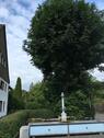 Foto - Etagenwohnung in Heiligenberg