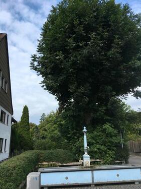 Foto - Etagenwohnung in Heiligenberg