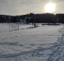 Winterzauber,Skiurlaub Bay.Wald Bayern Ferienwohnung - Waldkirchen