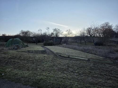 Foto - Ruhiges Gartengrundstück mit Hütte zu verpachten