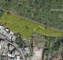 Waldgrundstück in Roxheim HLO 62 - Hargesheim