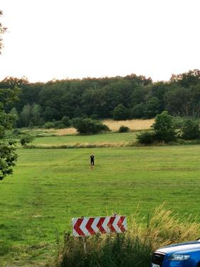 Foto - Wohnung 2-Zimmer Wohnung Wohnküche Hemer