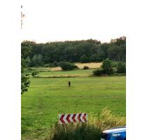 Wohnung 2-Zimmer Wohnung Wohnküche Hemer