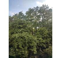 3 Zimmer in Kinderhaus - 911,00&nbsp;EUR Kaltmiete, ca.&nbsp; 74,00&nbsp;m&sup2; in Münster (PLZ: 48159) Münster-Nord