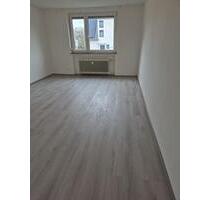 SGE IMMO - Großzügige, frisch renovierte 1-Zimmer-Wohnung in Möglingen (Nähe Stuttgart)