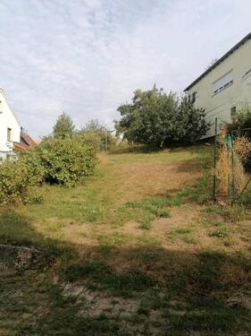 Foto - 