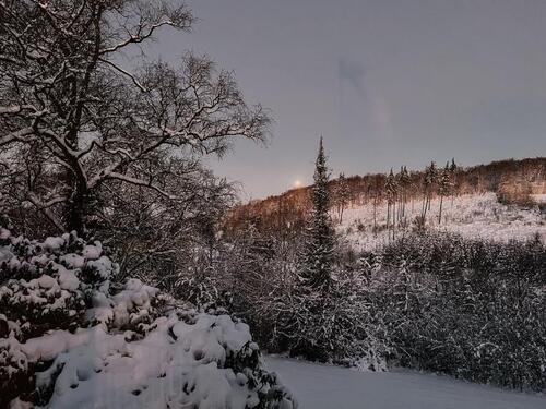 Foto - Klinikumsnahe Wohnung im Grünen