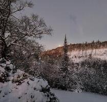 Klinikumsnahe Wohnung im Grünen - Lüdenscheid Brügge