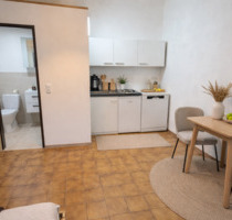 Möbliertes 1-Zimmer-Apartment – 500 € Pauschal (all in) - Selb