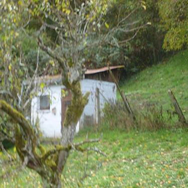 Foto - 