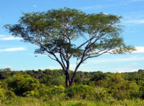 Foto - andere in Ludwigslust