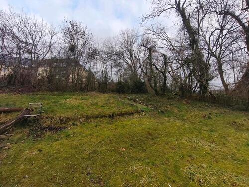 Foto - 3 Zimmer Erdgeschoßwohnung in Wuppertal