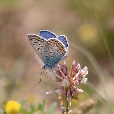 Foto - Schöne 3-Zimmerwohnung - 1.150,00&nbsp;EUR Kaltmiete, ca.&nbsp; 85,00&nbsp;m&sup2;