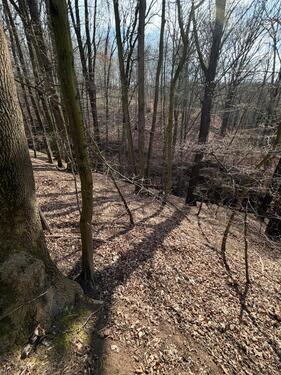 Foto - Erholungswald mit kleinem Fluss in Cossebaude zu verpachten