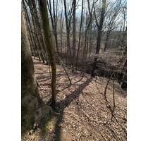 Erholungswald mit kleinem Fluss in Cossebaude zu verpachten - Dresden