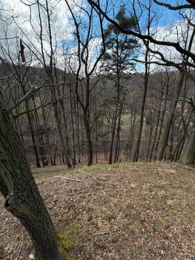 Foto - Grundst&uuml;ck zur Miete in Dresden
