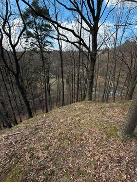 Foto - Grundst&uuml;ck in Dresden