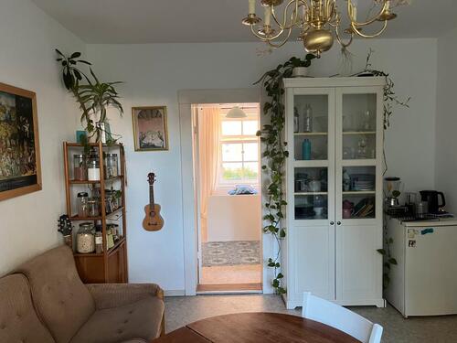 Foto - andere in Greifswald