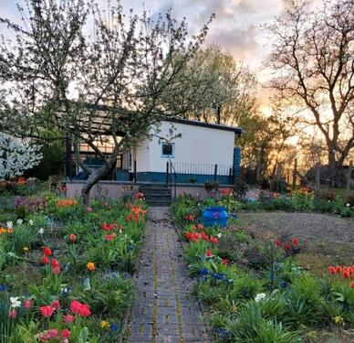 Foto - Bungalow auf Eigentumsland - 41.900,00 EUR Kaufpreis,