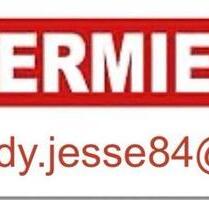 Familienfreundliches Haus - ruhige Lage - Wernigerode