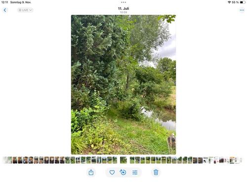 Foto - Grundst&uuml;ck zur Miete in Vöhl