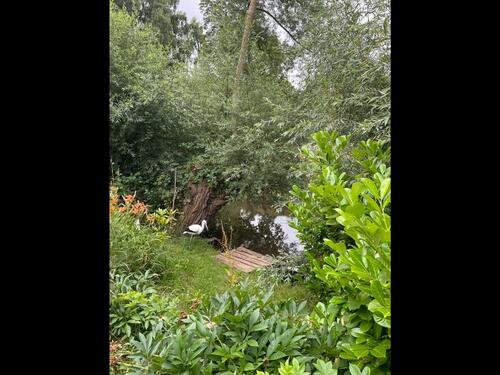 Foto - Grundst&uuml;ck in Vöhl