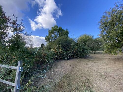 Foto - Grundst&uuml;ck zur Miete in Bad Homburg vor der Höhe